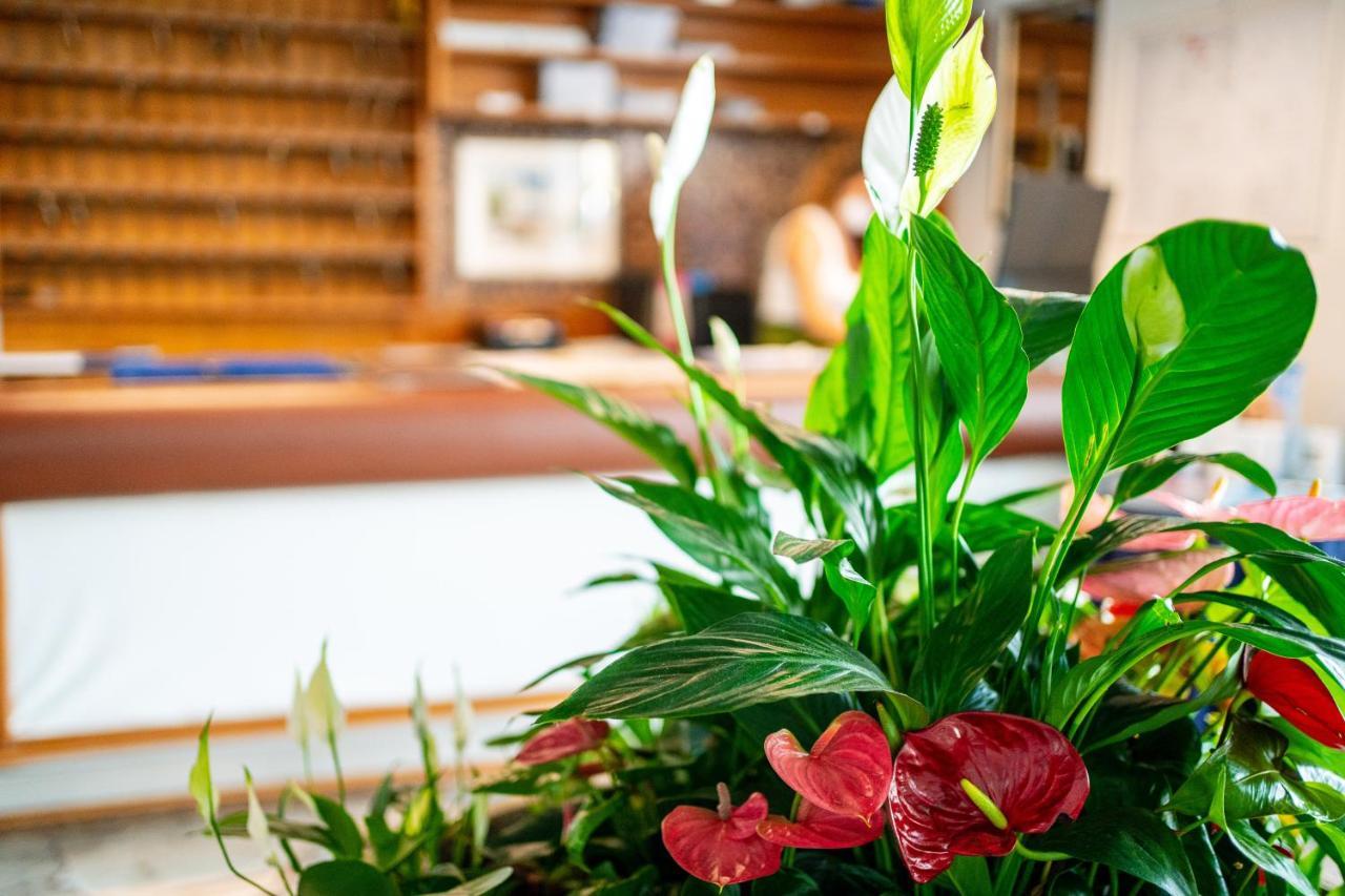 Hotel Stacchini Cesenatico Zewnętrze zdjęcie